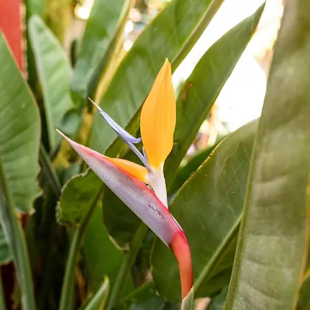 בית כפרי La Asomada Del Gato *