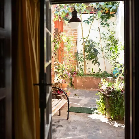 La Asomada Del Gato