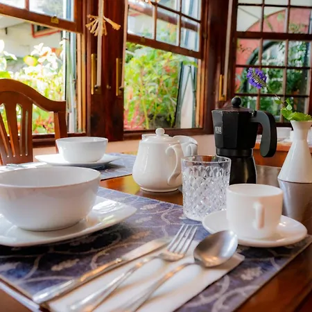 La Asomada Del Gato *