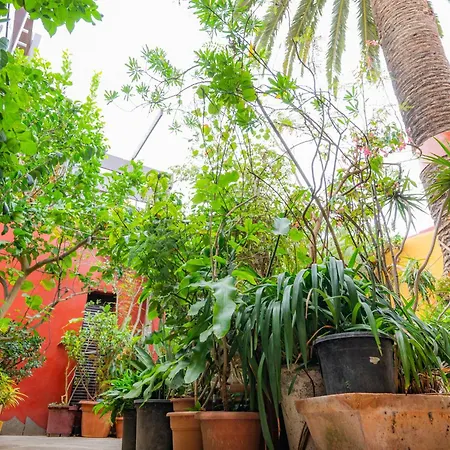 Casa rural La Asomada Del Gato La Laguna (Tenerife)