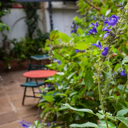 La Asomada Del Gato לה לגונה