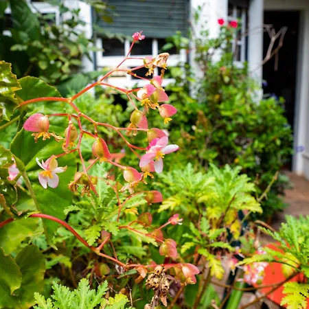 La Asomada Del Gato בית כפרי