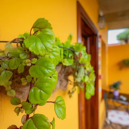 Casa rural La Asomada Del Gato *
