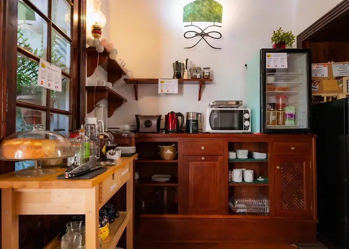 La Asomada Del Gato * La Laguna (Tenerife)