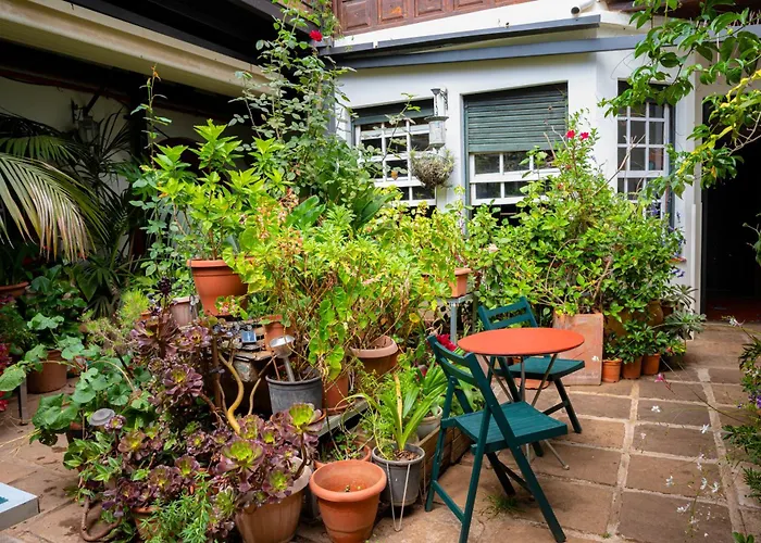 La Asomada Del Gato Lantställe