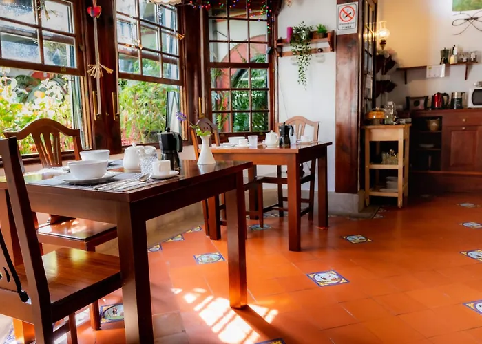 La Asomada Del Gato La Laguna (Tenerife)