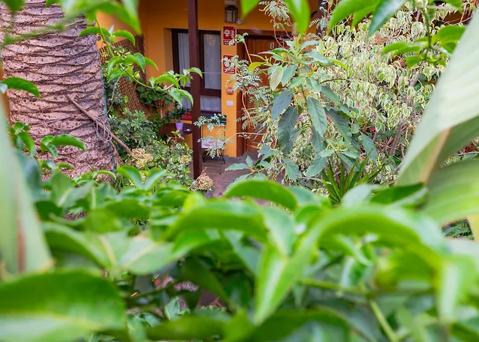 La Asomada Del Gato * La Laguna (Tenerife)