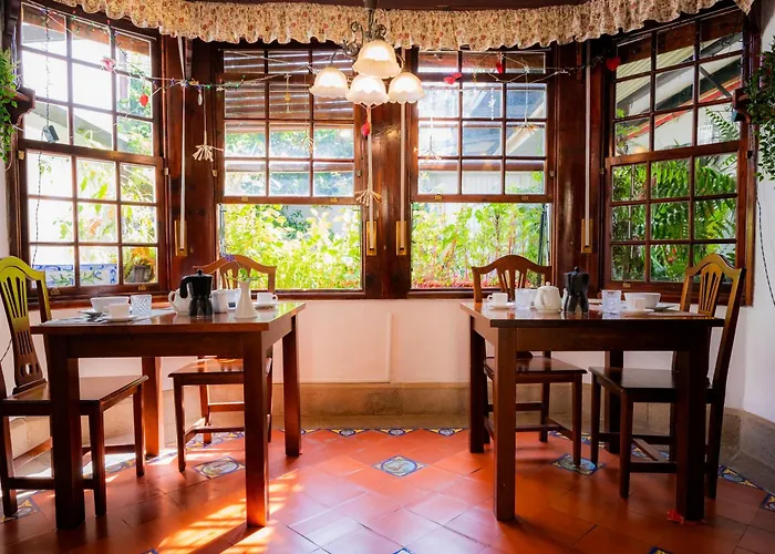 Lantställe La Asomada Del Gato La Laguna (Tenerife)