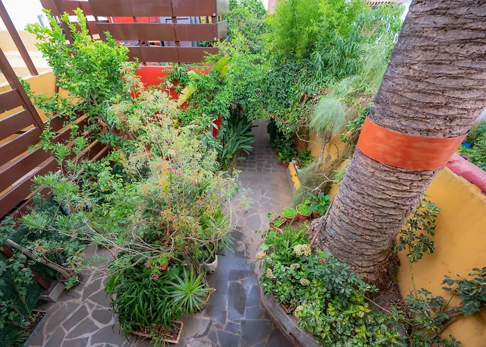 La Asomada Del Gato Lantställe