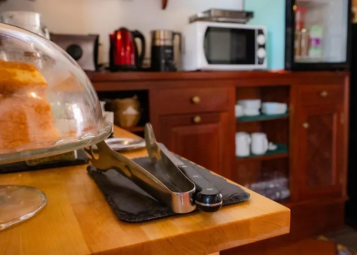 La Asomada Del Gato *