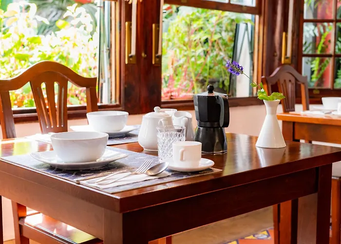 La Asomada Del Gato Lantställe La Laguna (Tenerife)