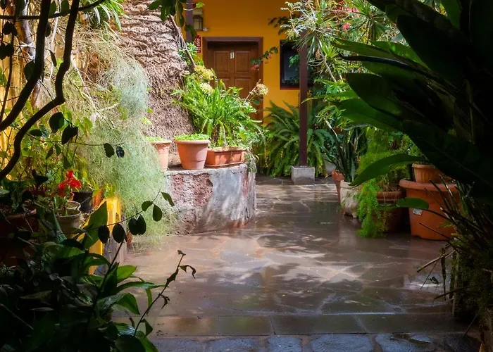 Lantställe La Asomada Del Gato La Laguna (Tenerife)