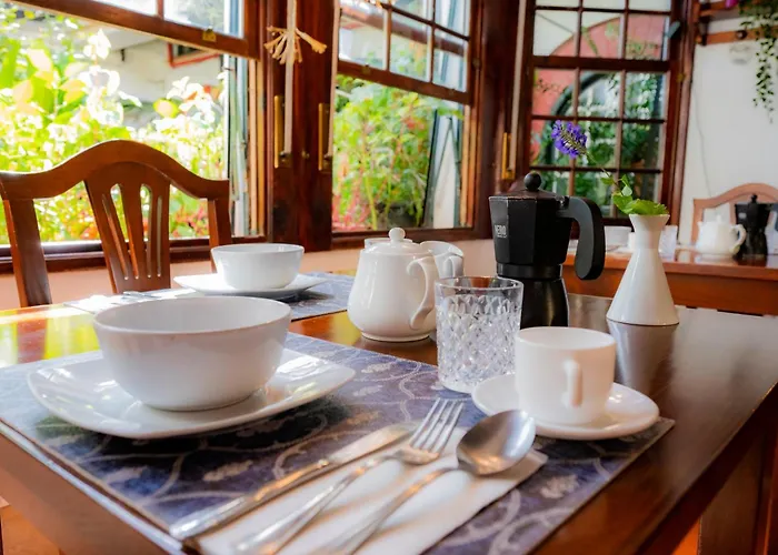 La Asomada Del Gato *