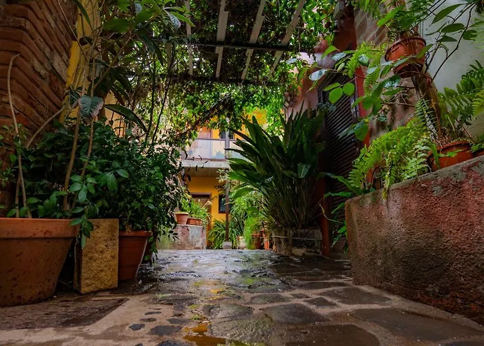 La Asomada Del Gato La Laguna (Tenerife)