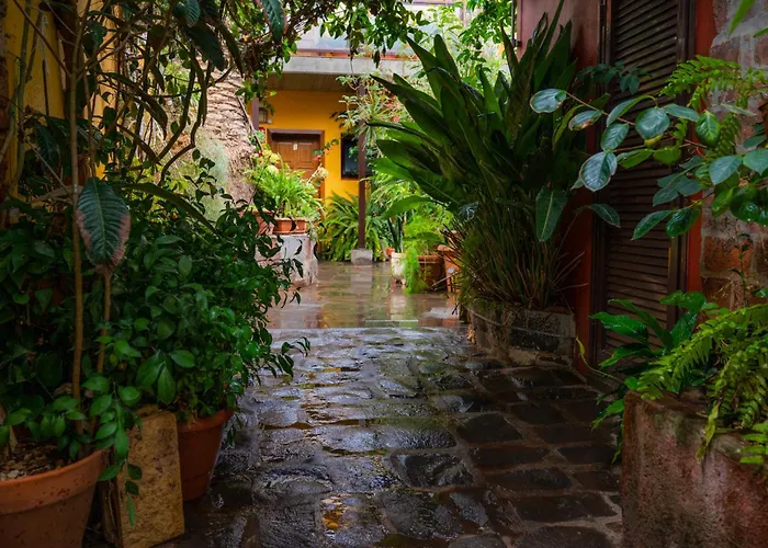 La Asomada Del Gato Lantställe *