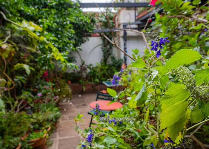 La Asomada Del Gato Lantställe La Laguna (Tenerife)
