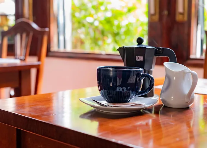 Lantställe La Asomada Del Gato La Laguna (Tenerife)