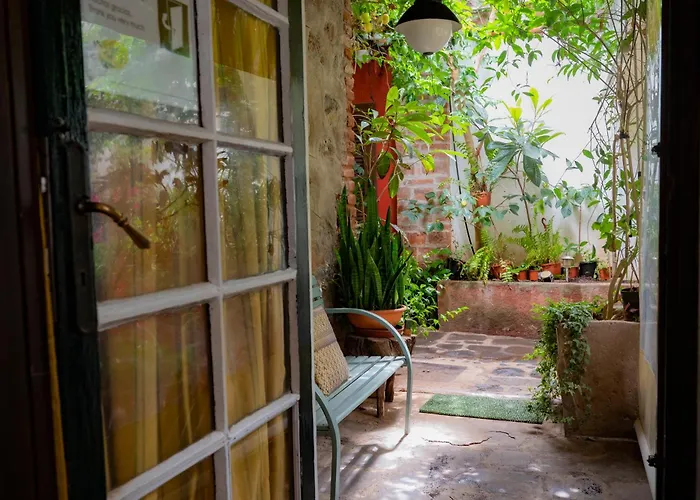 La Asomada Del Gato Lantställe