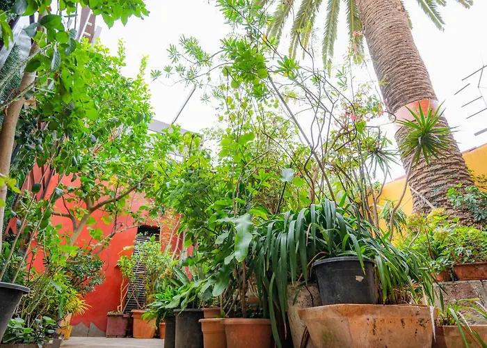 Lantställe La Asomada Del Gato La Laguna (Tenerife)