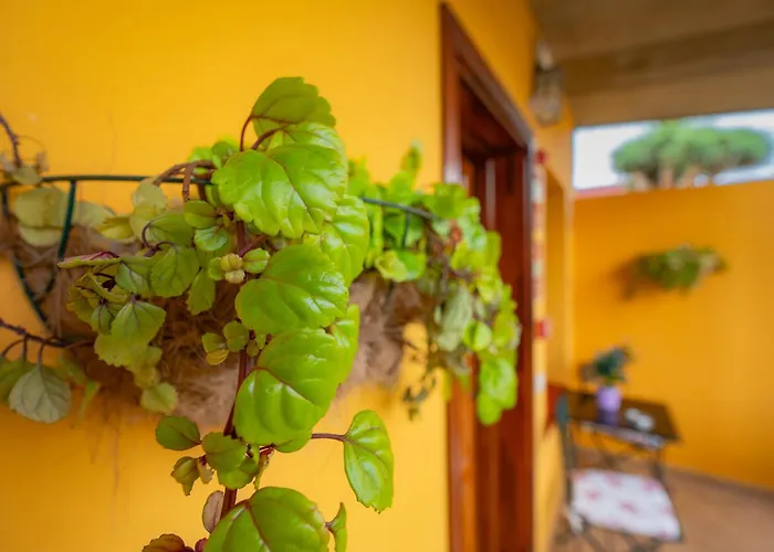 Lantställe La Asomada Del Gato *