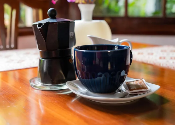 Lantställe La Asomada Del Gato La Laguna (Tenerife)